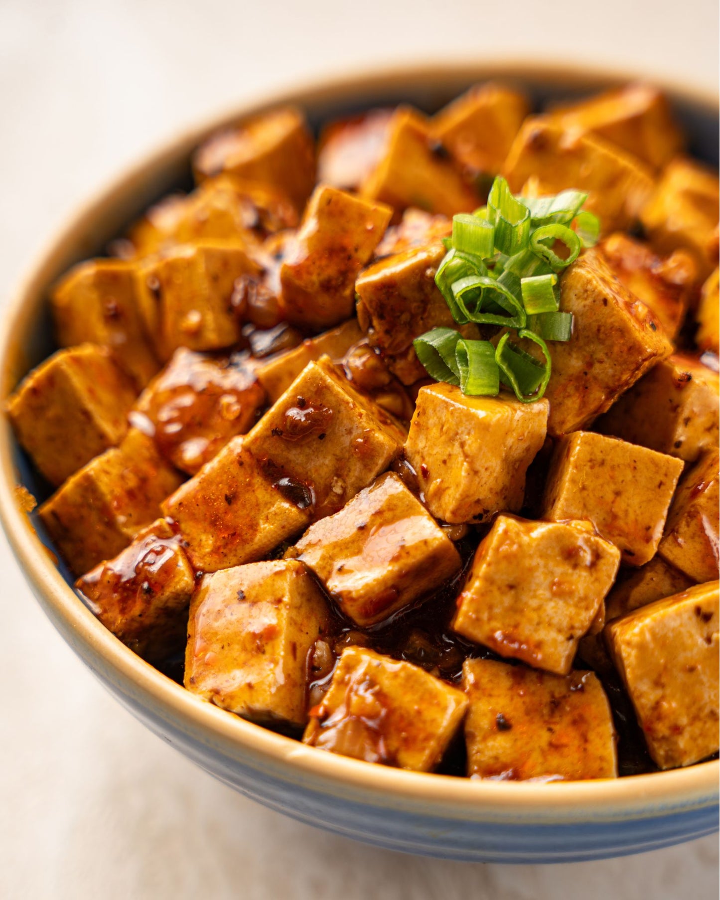 Mapo Tofu